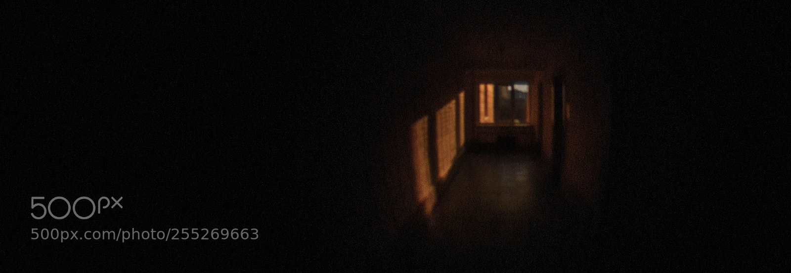 Sony Alpha DSLR-A230 sample photo. Peephole photography