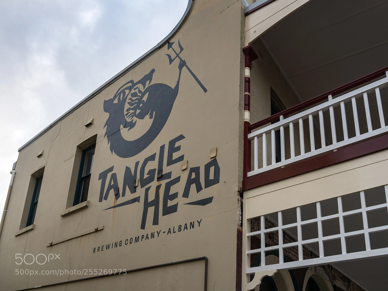 Olympus OM-D E-M5 II sample photo. Tanglehead brewing company photography