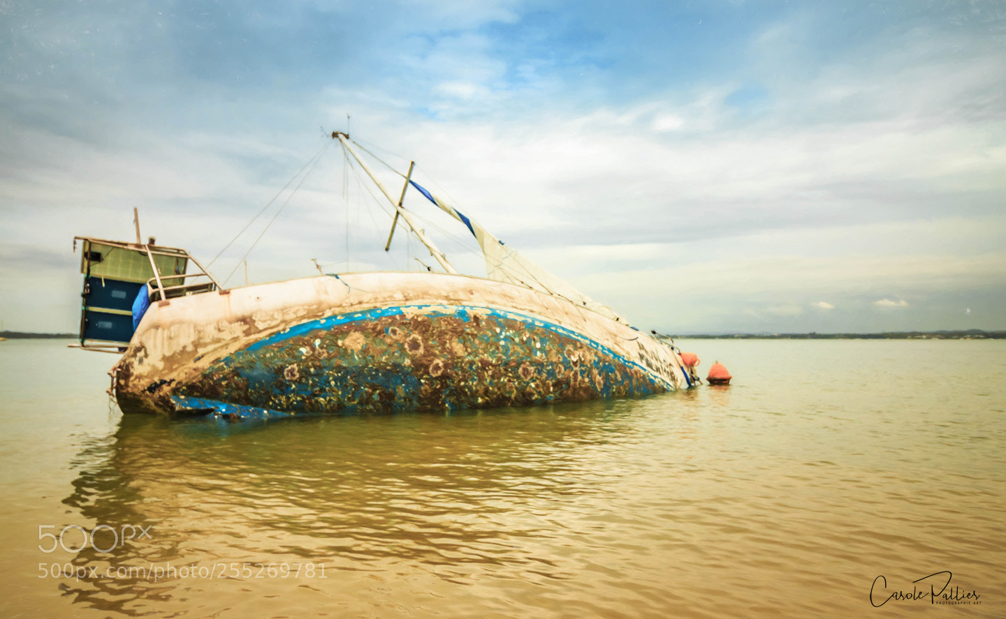 Canon EOS 70D sample photo. A tale to tell photography