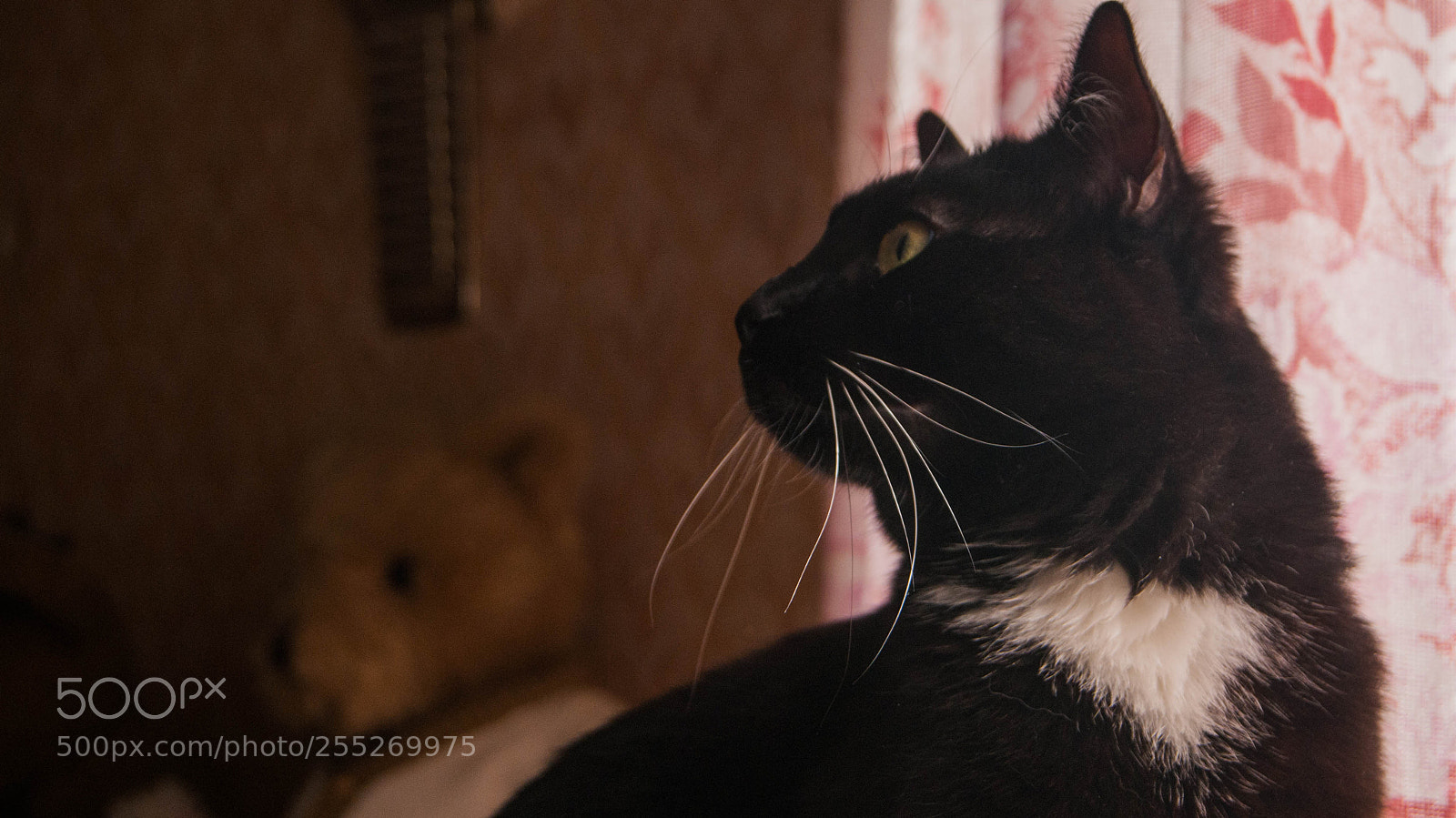 Sony Alpha DSLR-A230 sample photo. Sony dslr-a230 kit photography