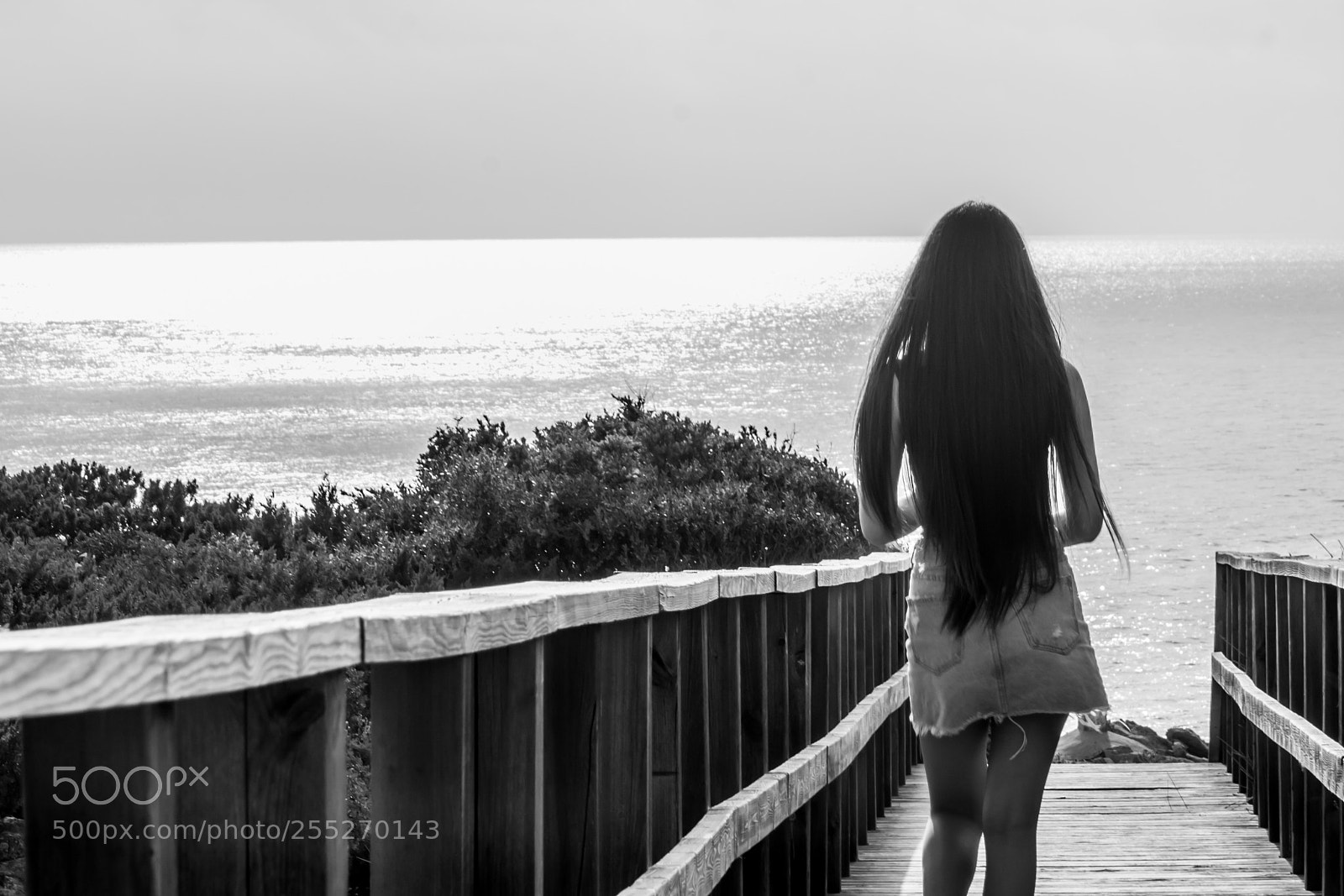 Nikon D7100 sample photo. Walking to the sun photography