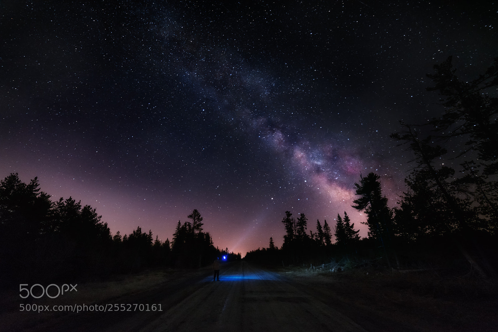 Nikon D800 sample photo. Chasing stars  photography