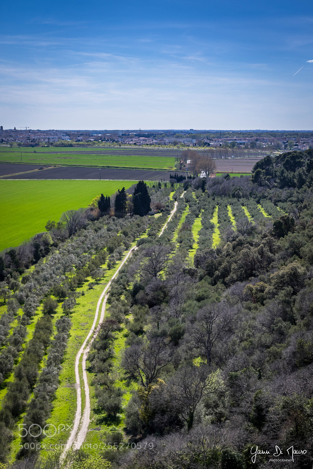 Canon EOS 7D Mark II sample photo. Abbaye de montmajour photography