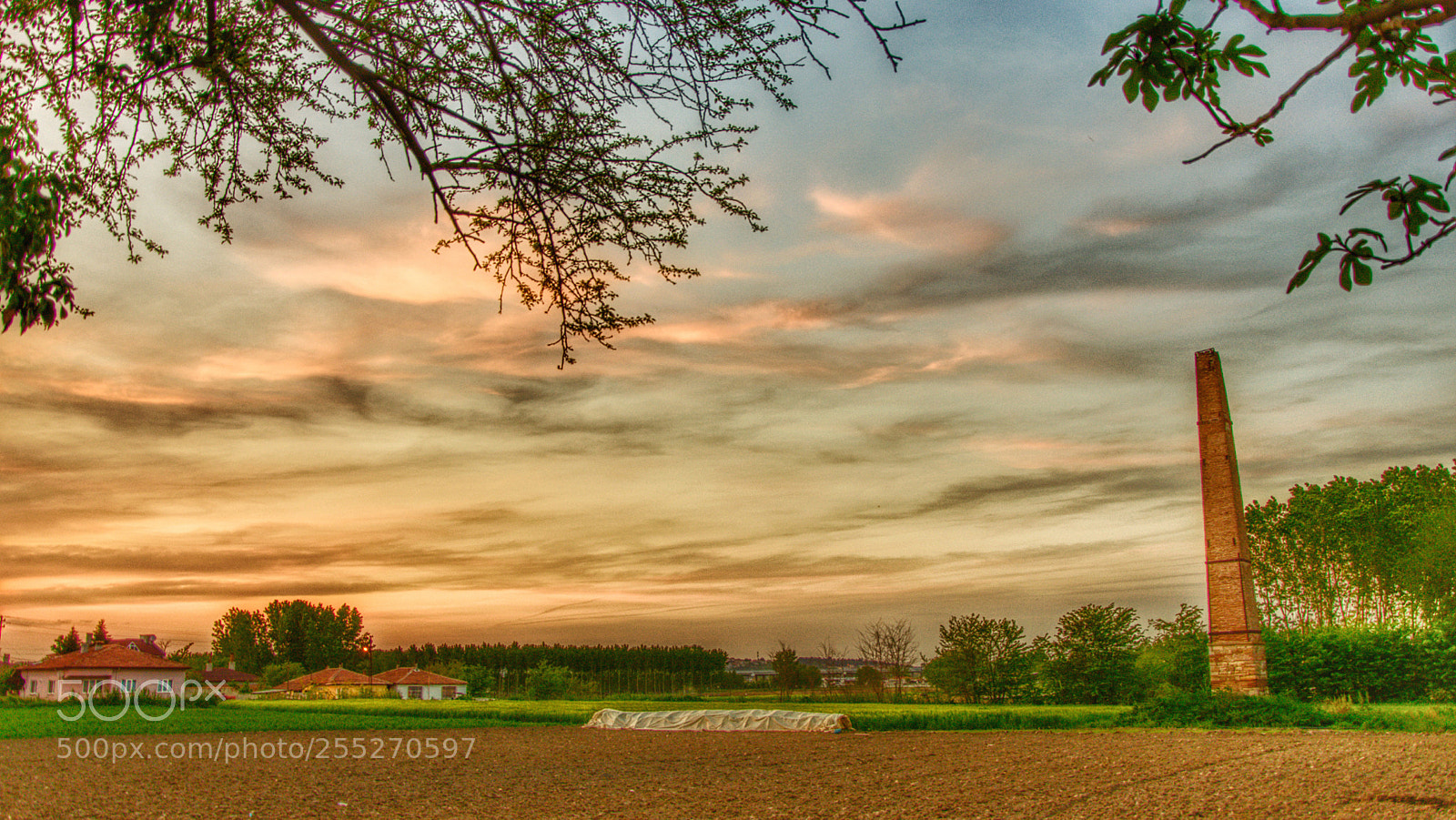 Nikon D7000 sample photo. Baca photography