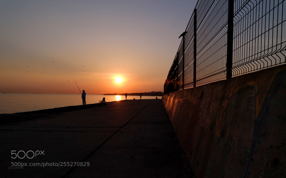 Samsung NX30 sample photo. ... photography
