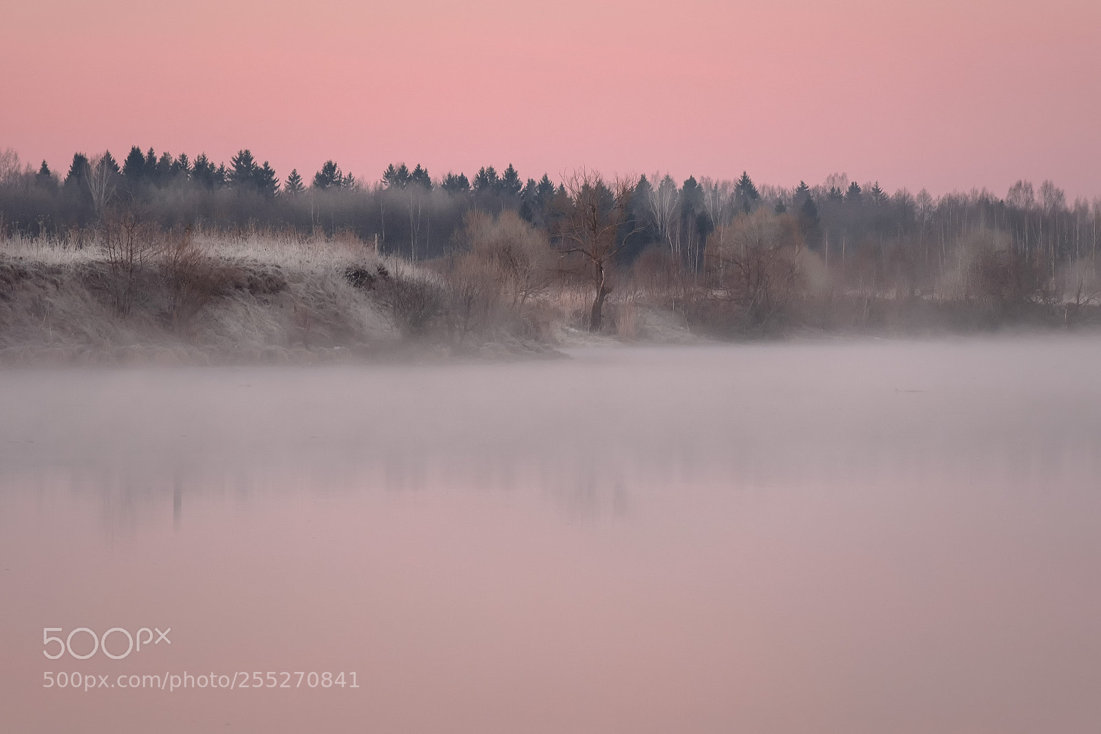 Fujifilm X-T20 sample photo. Pinky morning photography