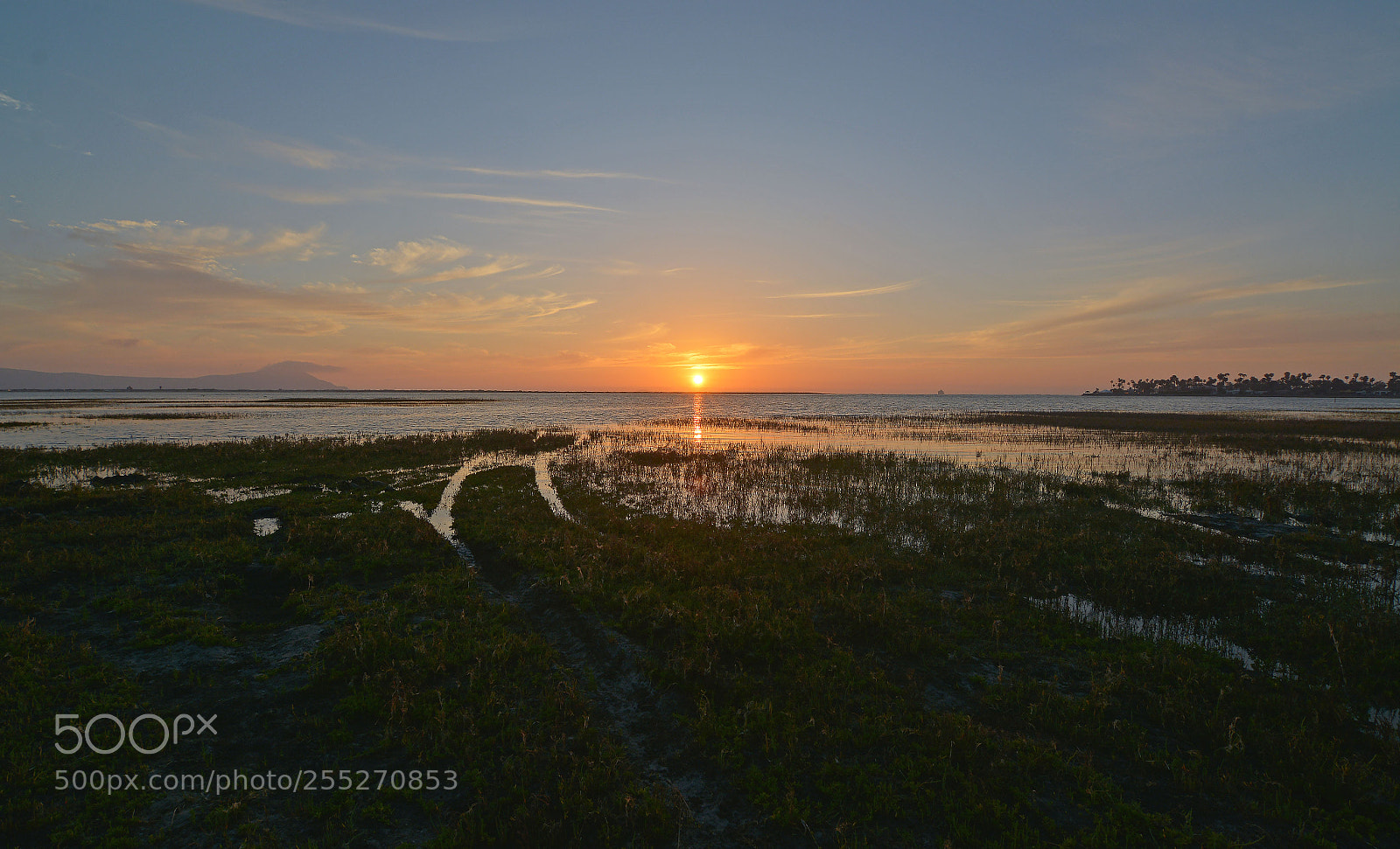 Nikon D7100 sample photo. Atardecer photography