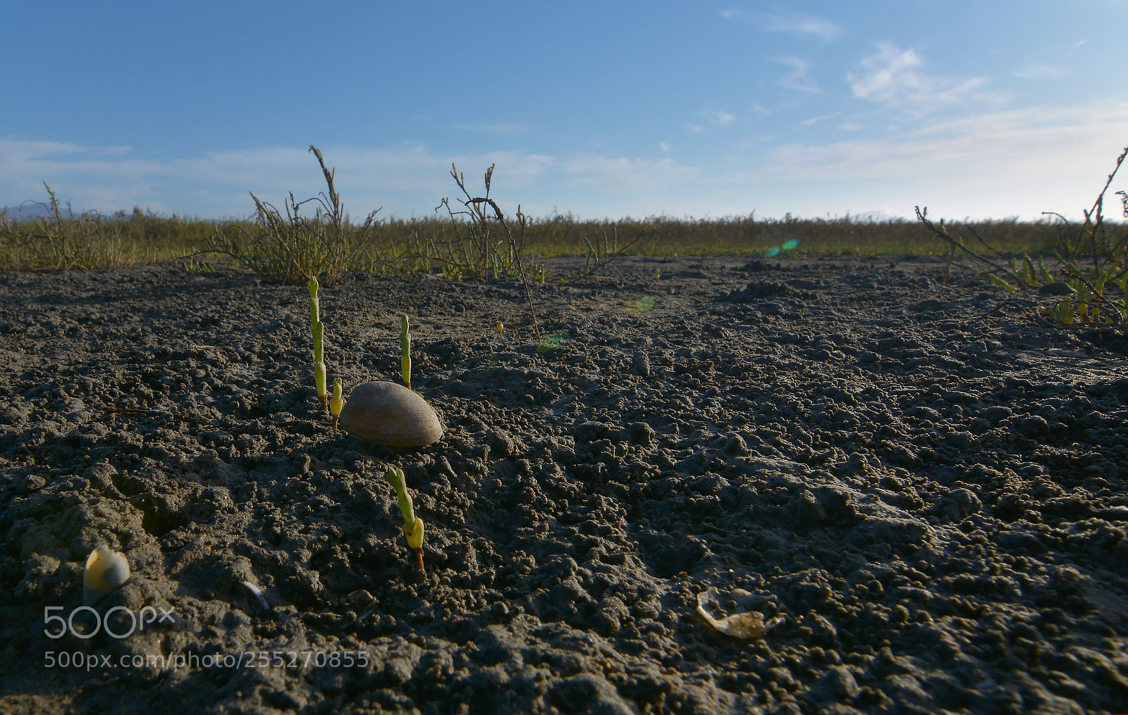 Nikon D7100 sample photo. Caracol photography