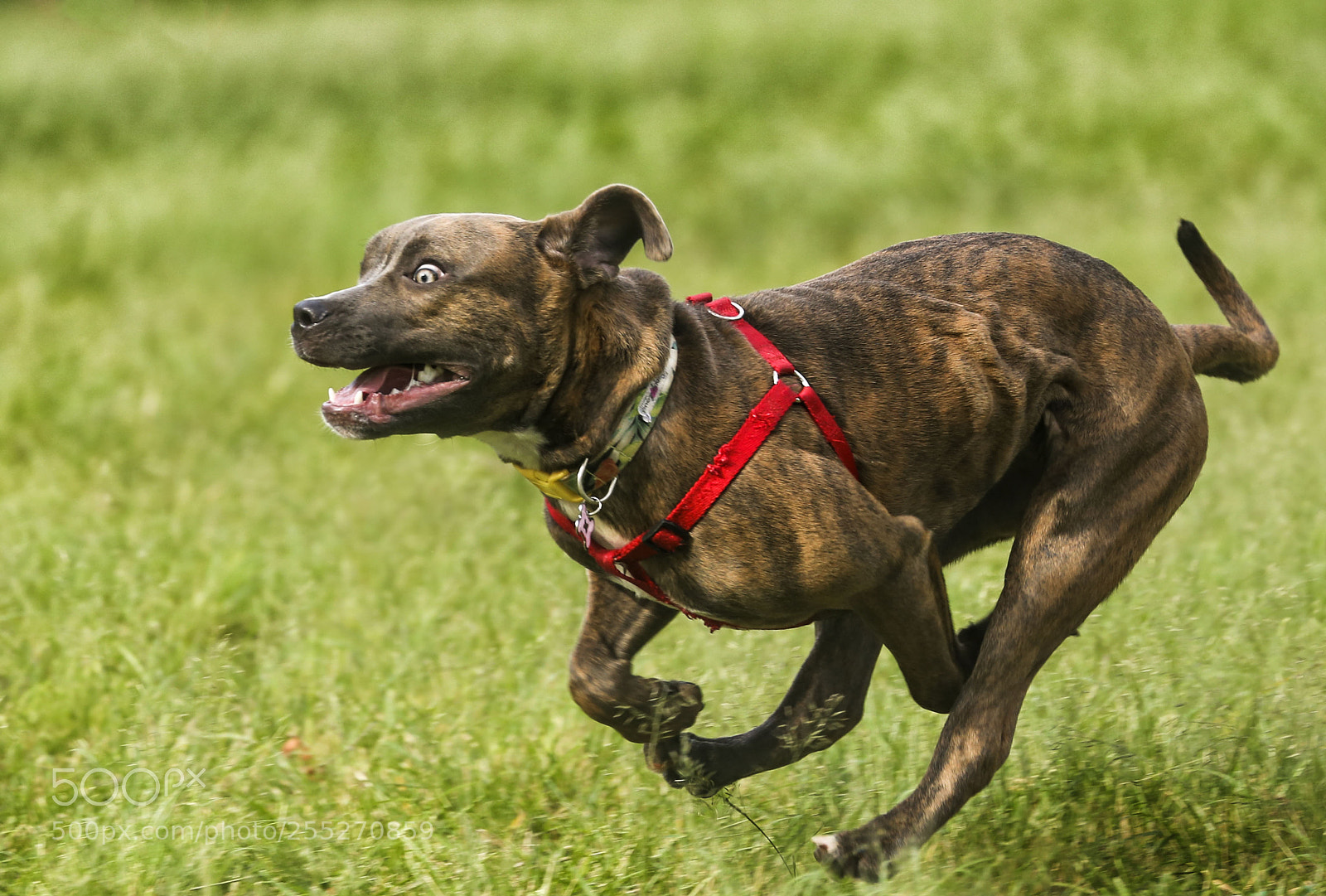 Canon EOS 6D sample photo. All in photography