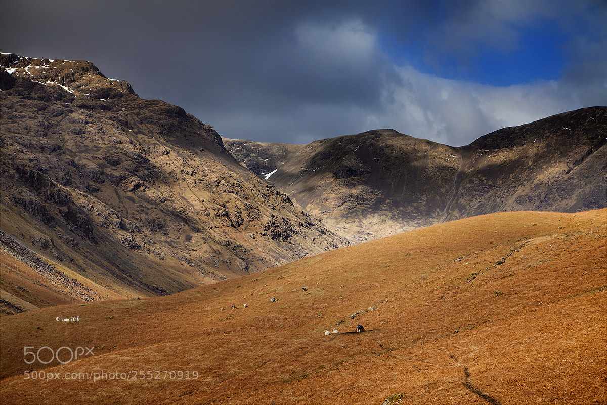 Canon EOS 5D Mark II sample photo. England photography