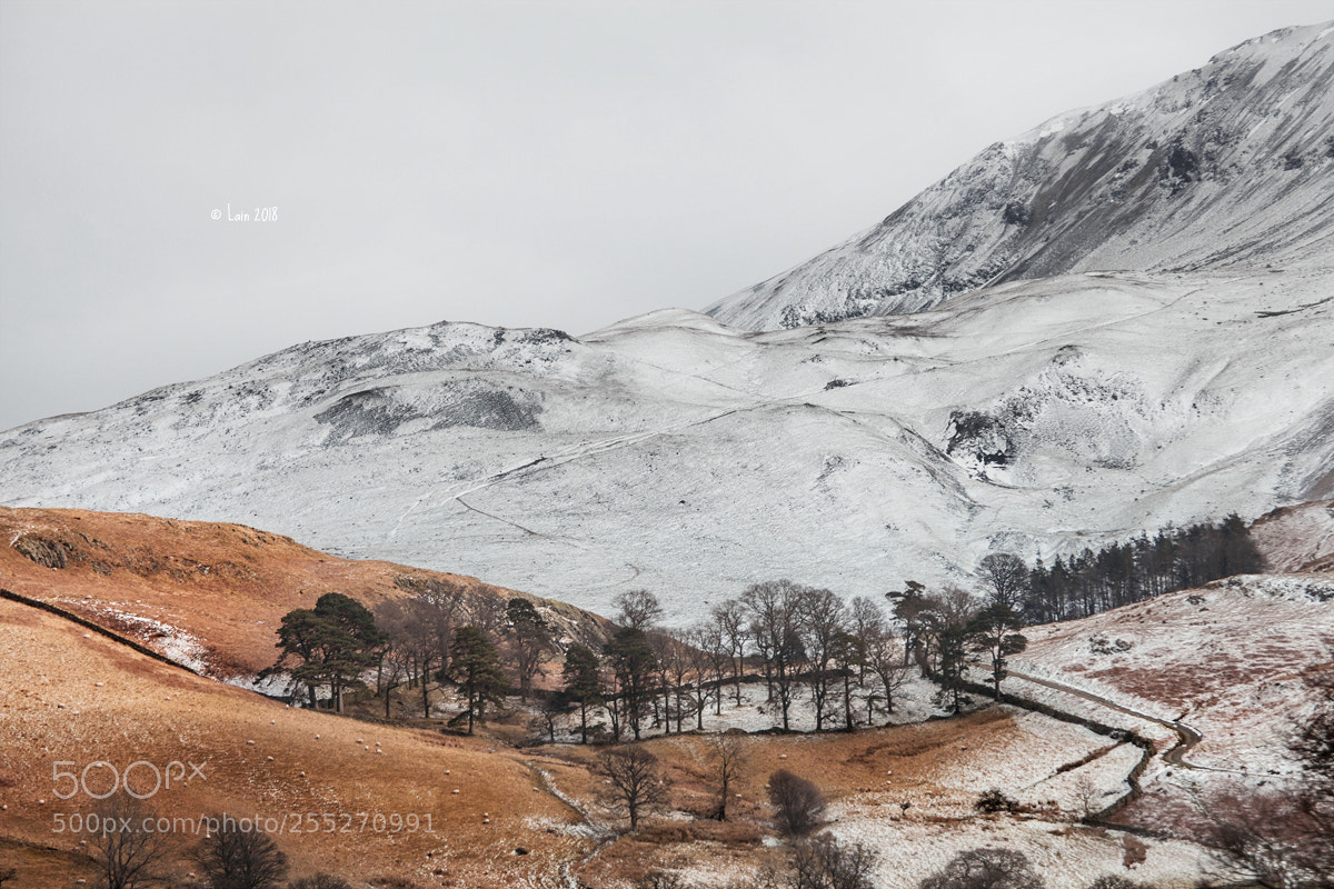 Canon EOS 5D Mark II sample photo. England photography