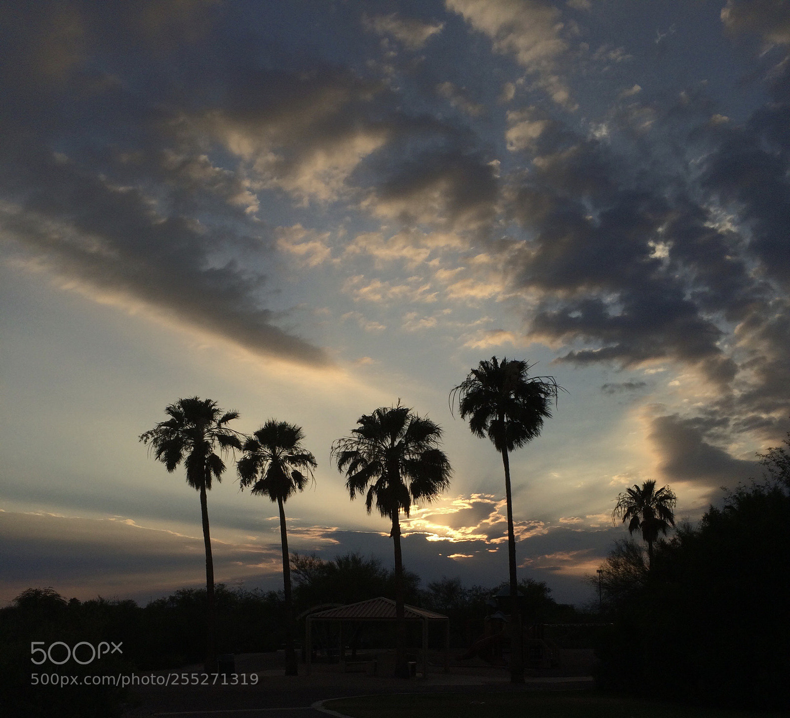 Apple iPhone 5s sample photo. 4palms photography