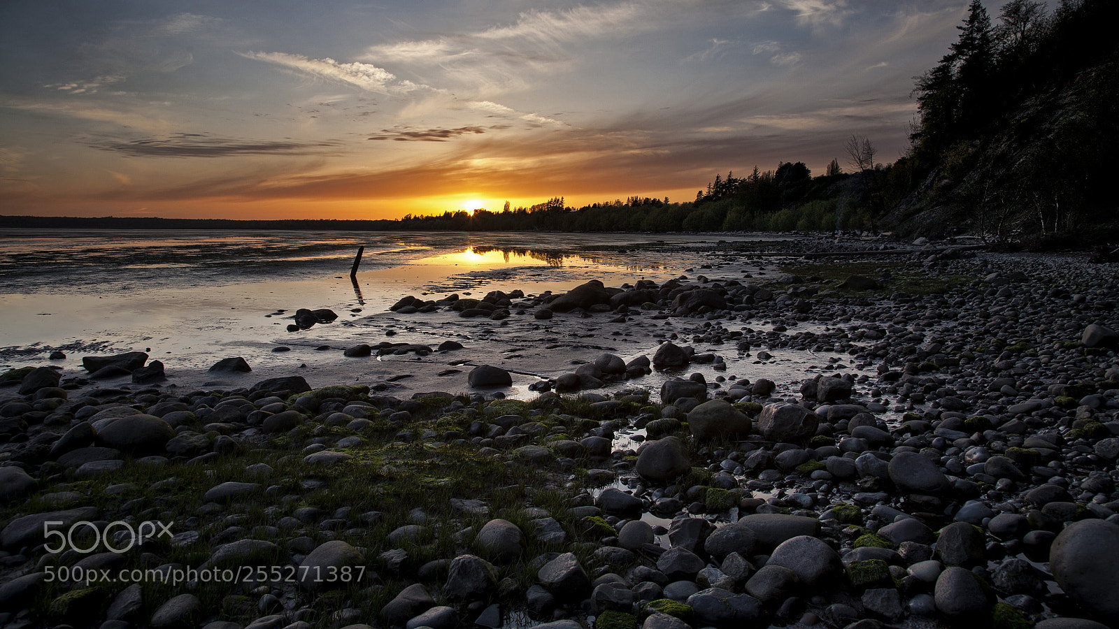 Canon EOS 5D sample photo. Locust beach sunset photography