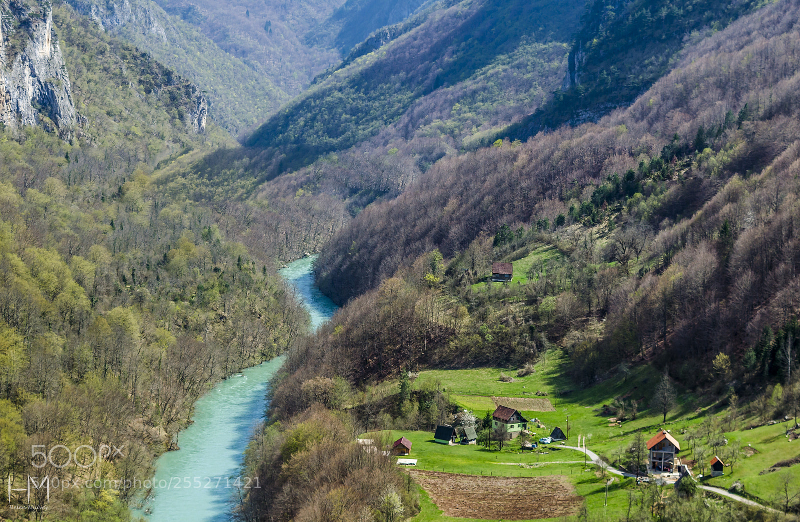 Nikon D5100 sample photo. The tara river, montenegro  photography