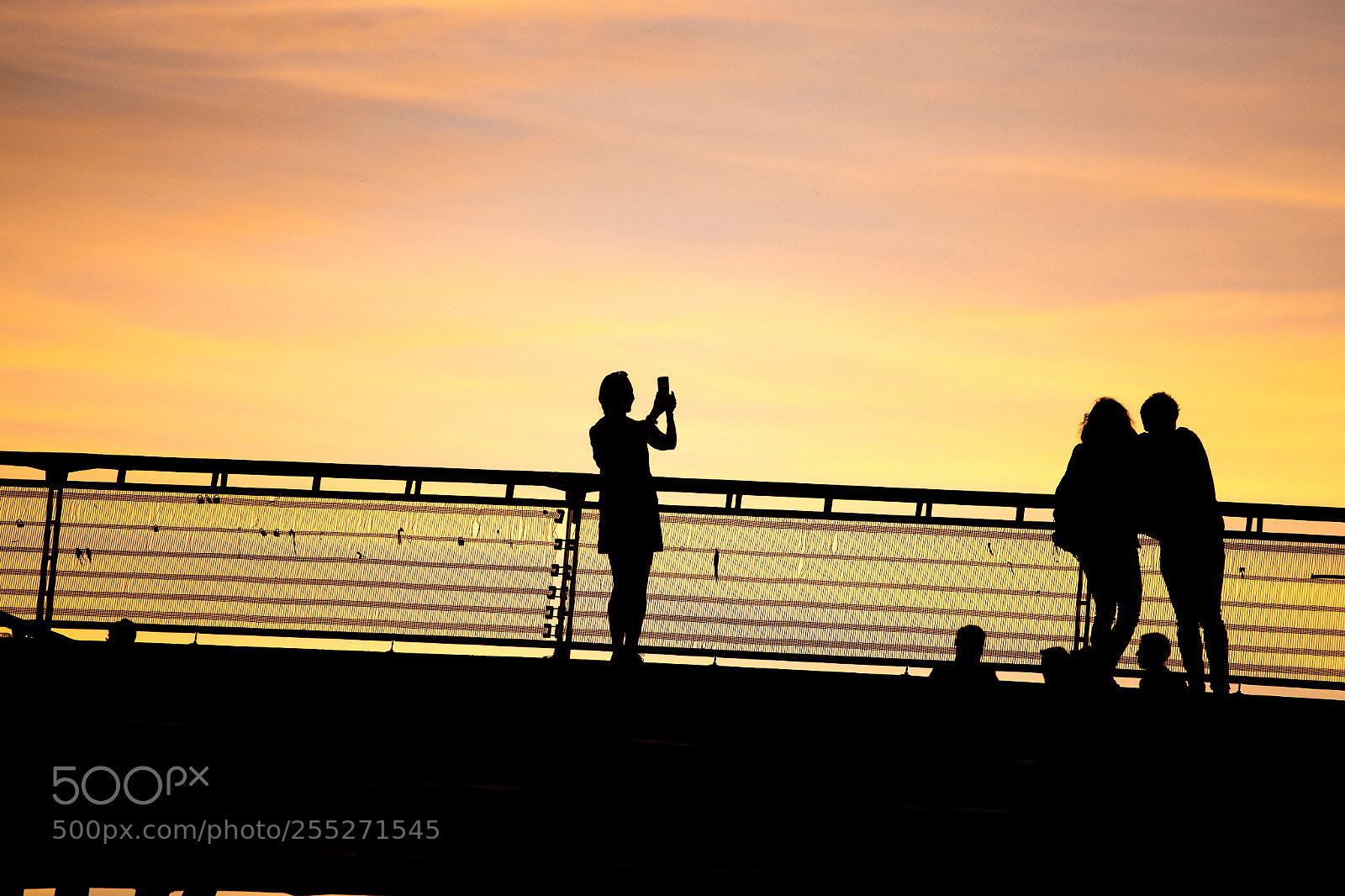 Canon EOS 6D sample photo. Passerelle l opold s photography