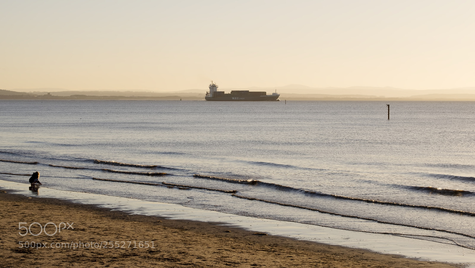 Nikon D600 sample photo. Some sail, some play (1) photography