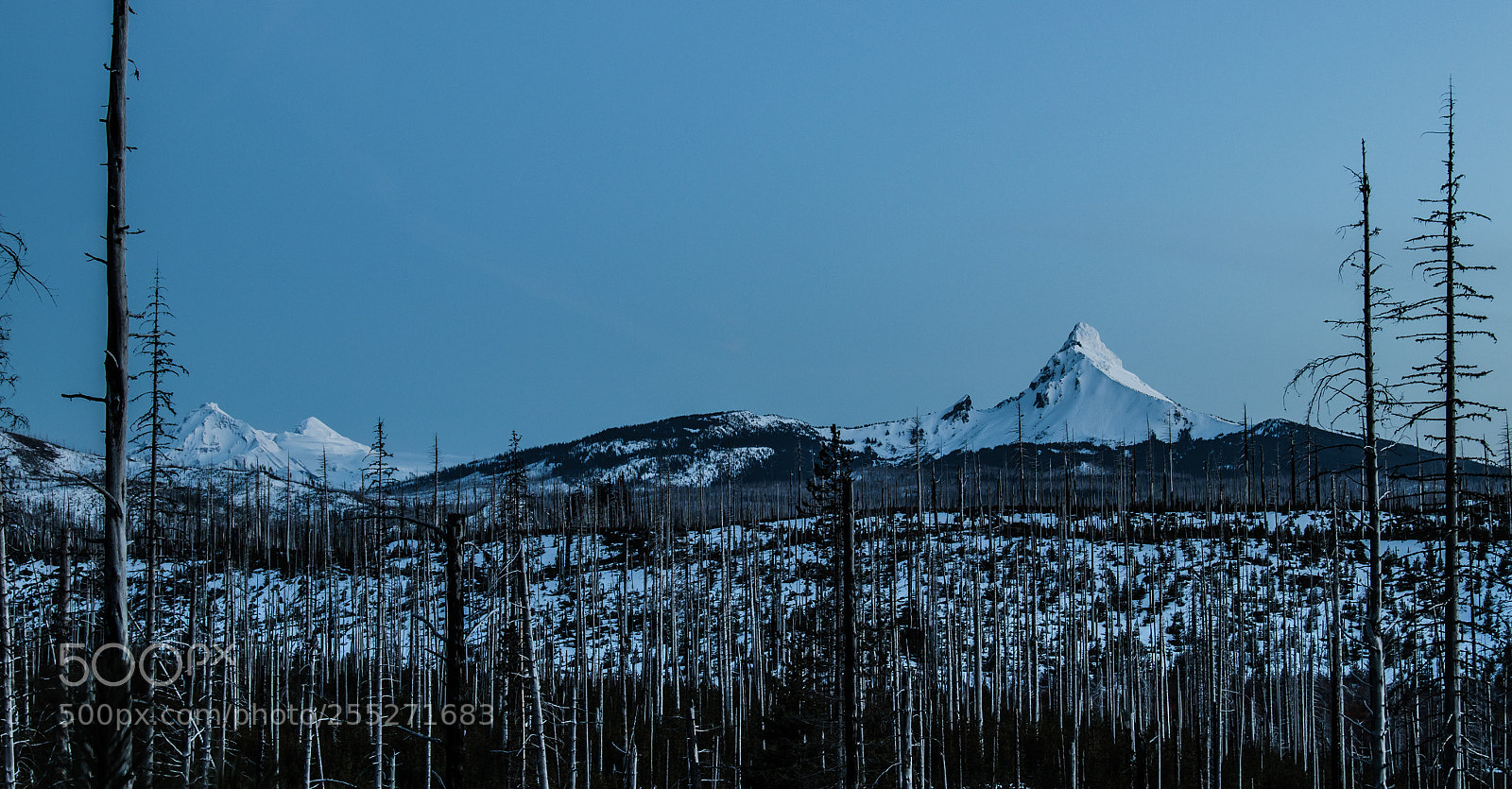 Canon EOS 800D (EOS Rebel T7i / EOS Kiss X9i) sample photo. Moonlight on the cascades photography