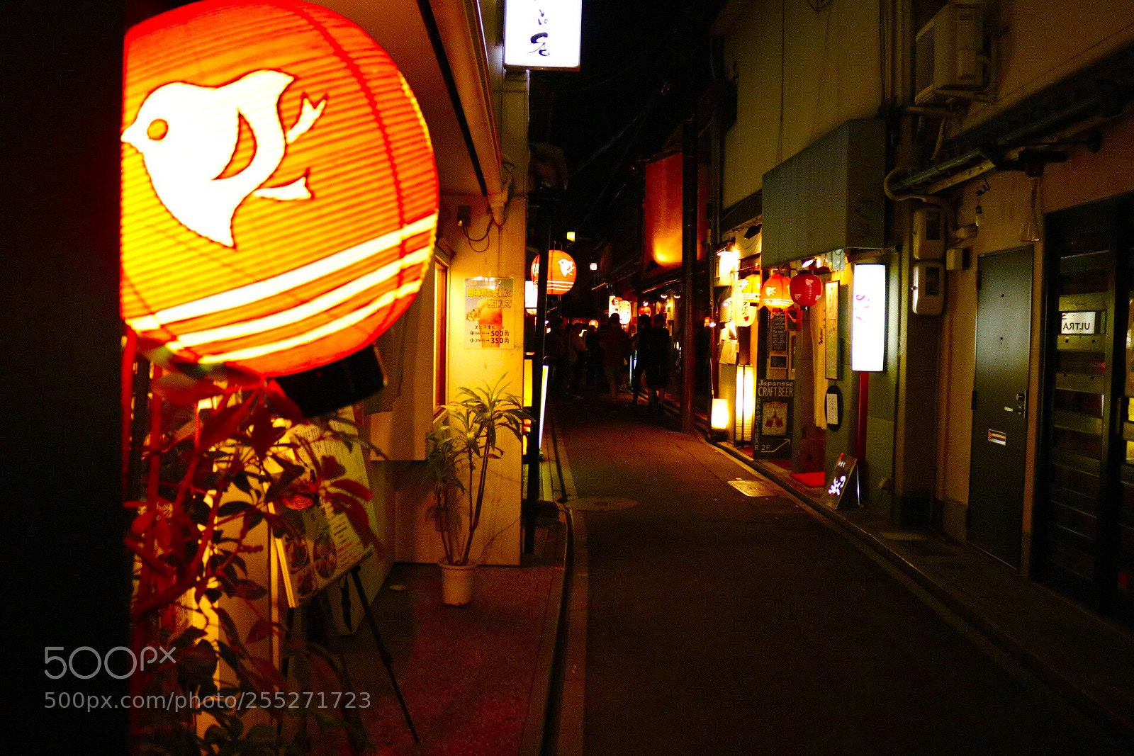 Canon EOS 80D sample photo. Paper lantern photography