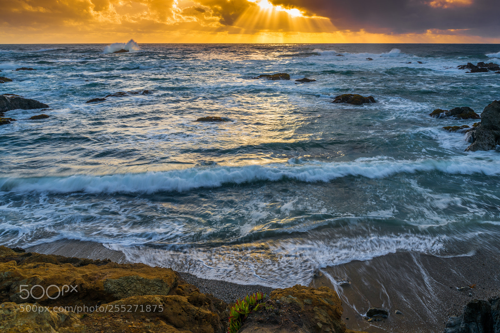 Nikon D850 sample photo. Clouds and sun photography