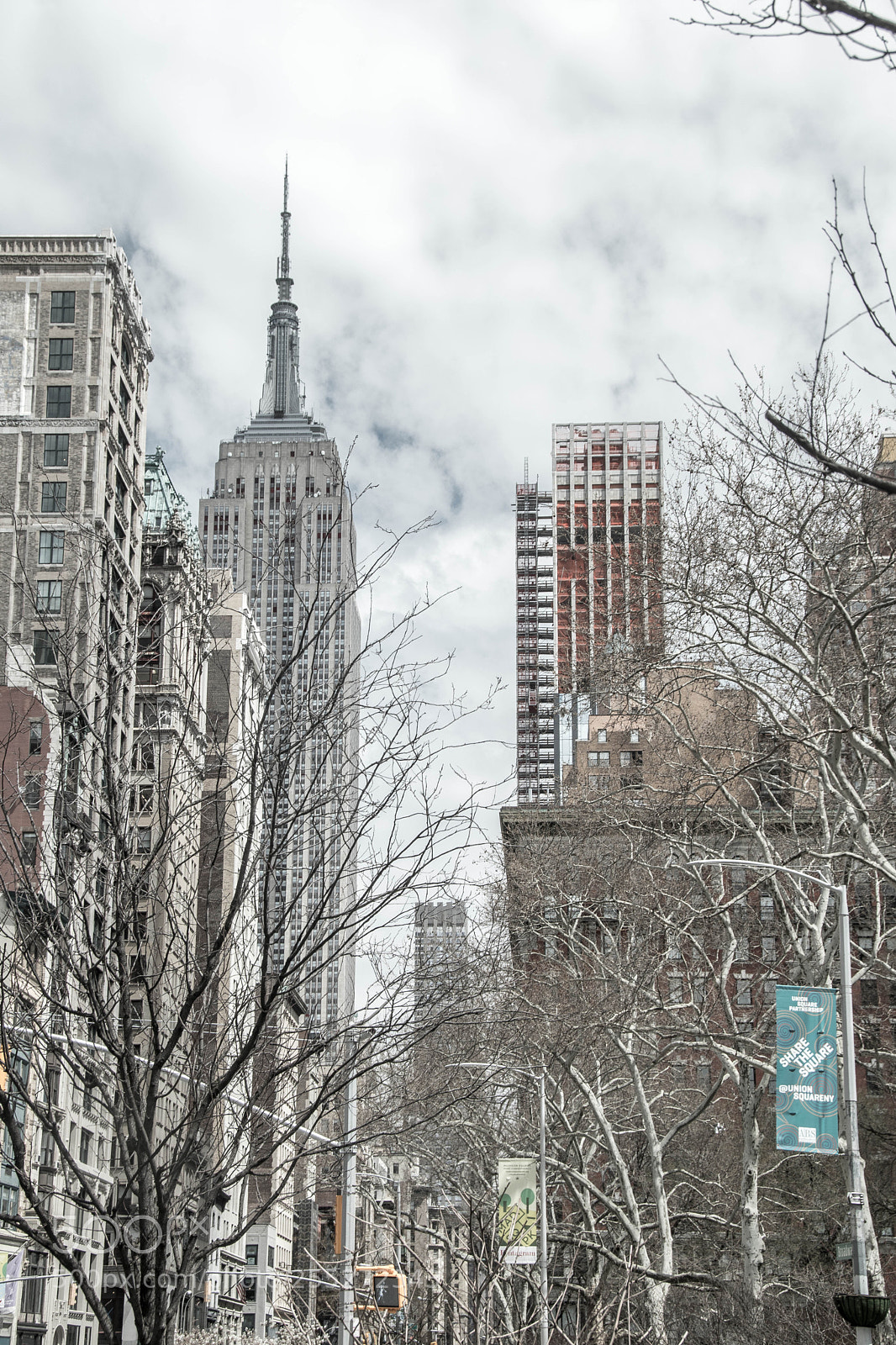 Nikon D5500 sample photo. Empire state photography