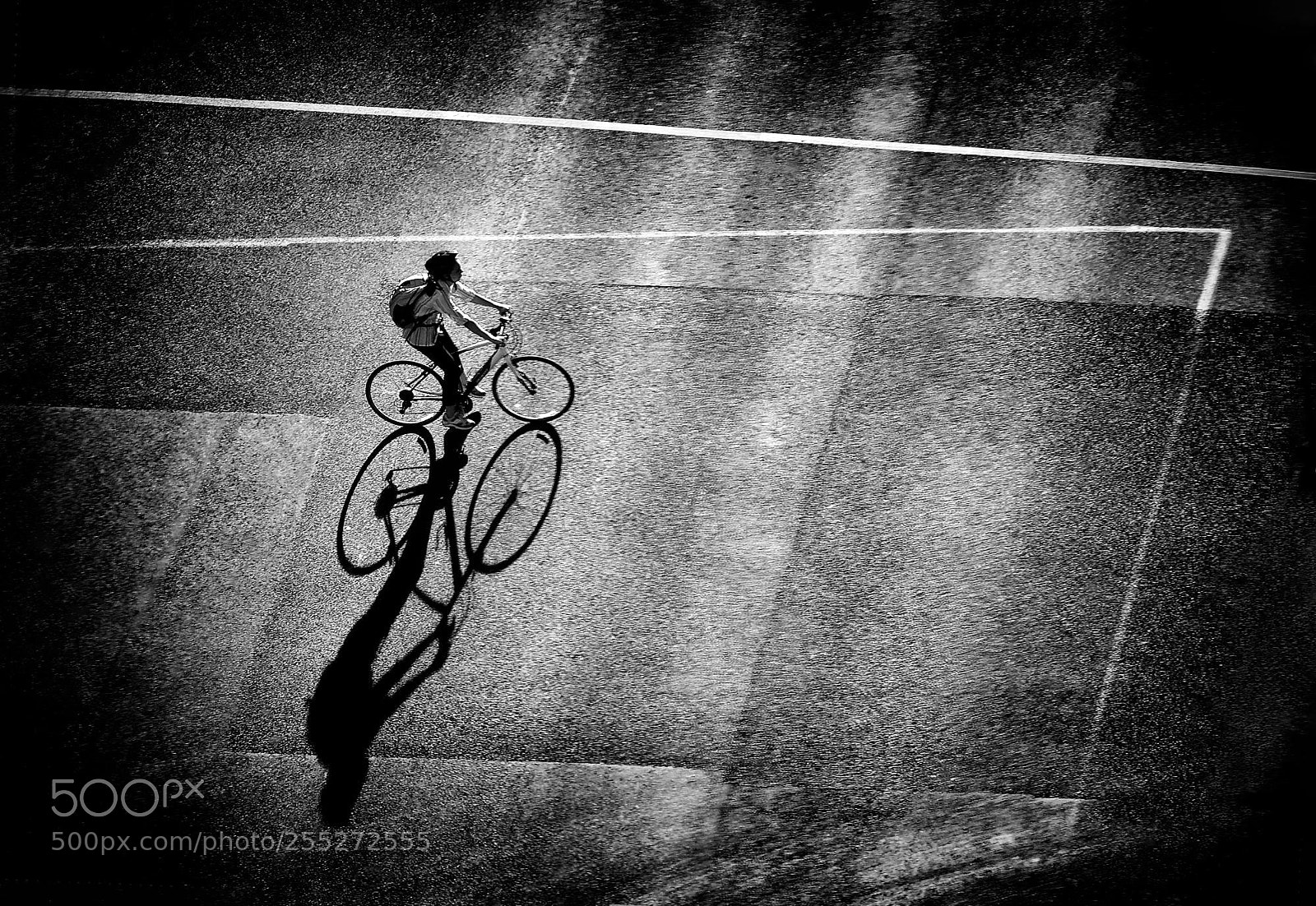 Nikon D5600 sample photo. Woman and bicycle no.75 photography