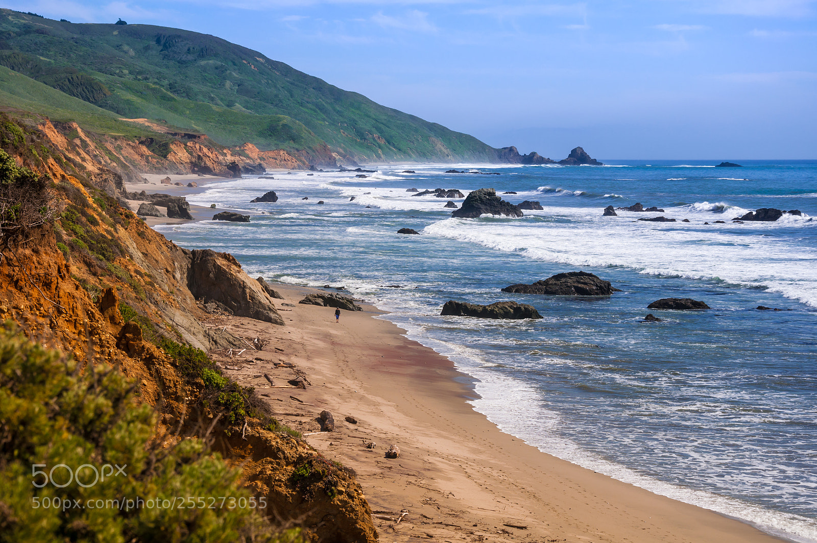 Nikon D90 sample photo. Andrew molera state beach photography