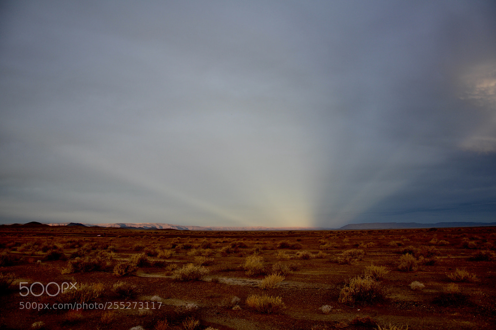 Nikon D90 sample photo. Desert light photography
