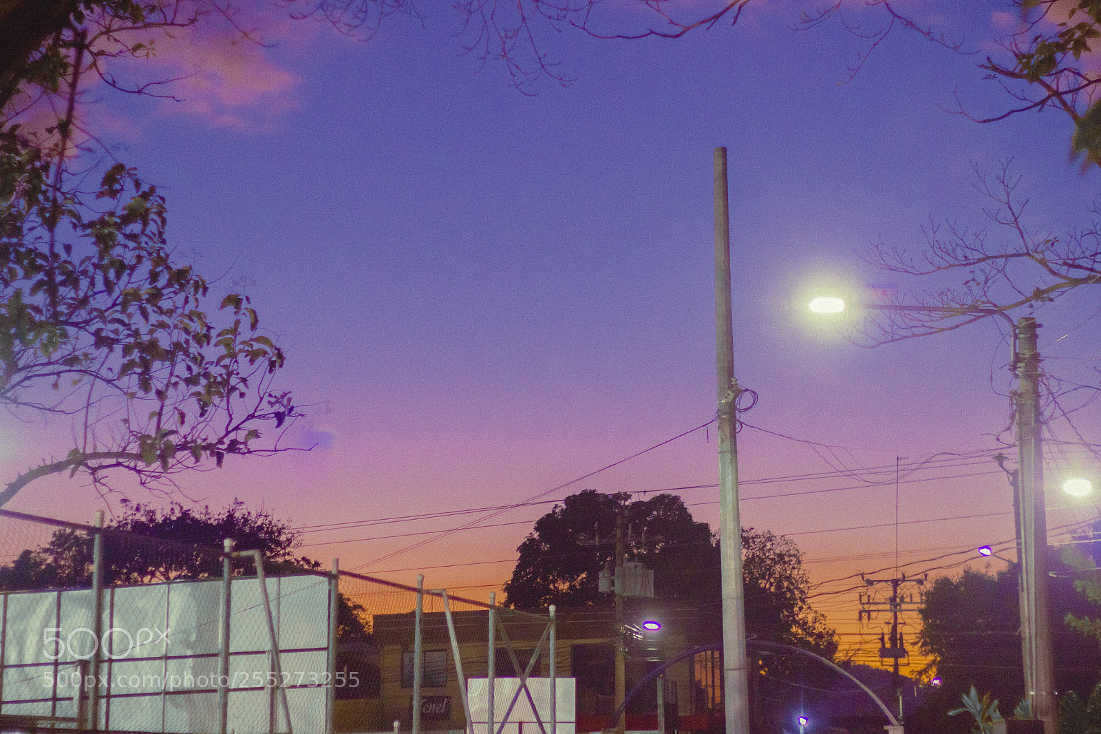 Canon EOS 600D (Rebel EOS T3i / EOS Kiss X5) sample photo. Violet hour photography