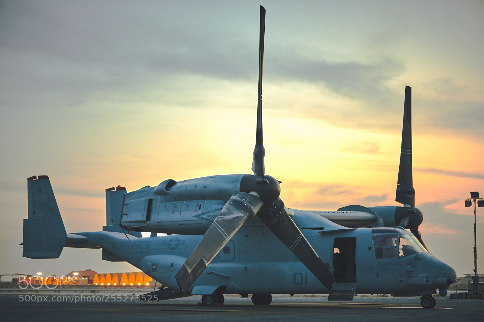 Canon EOS 5D Mark IV sample photo. An osprey sunset photography