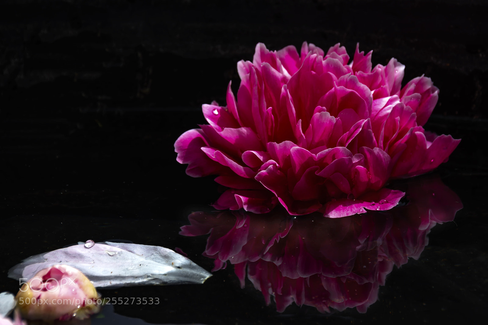 Canon EOS 80D sample photo. Reflection of a head photography