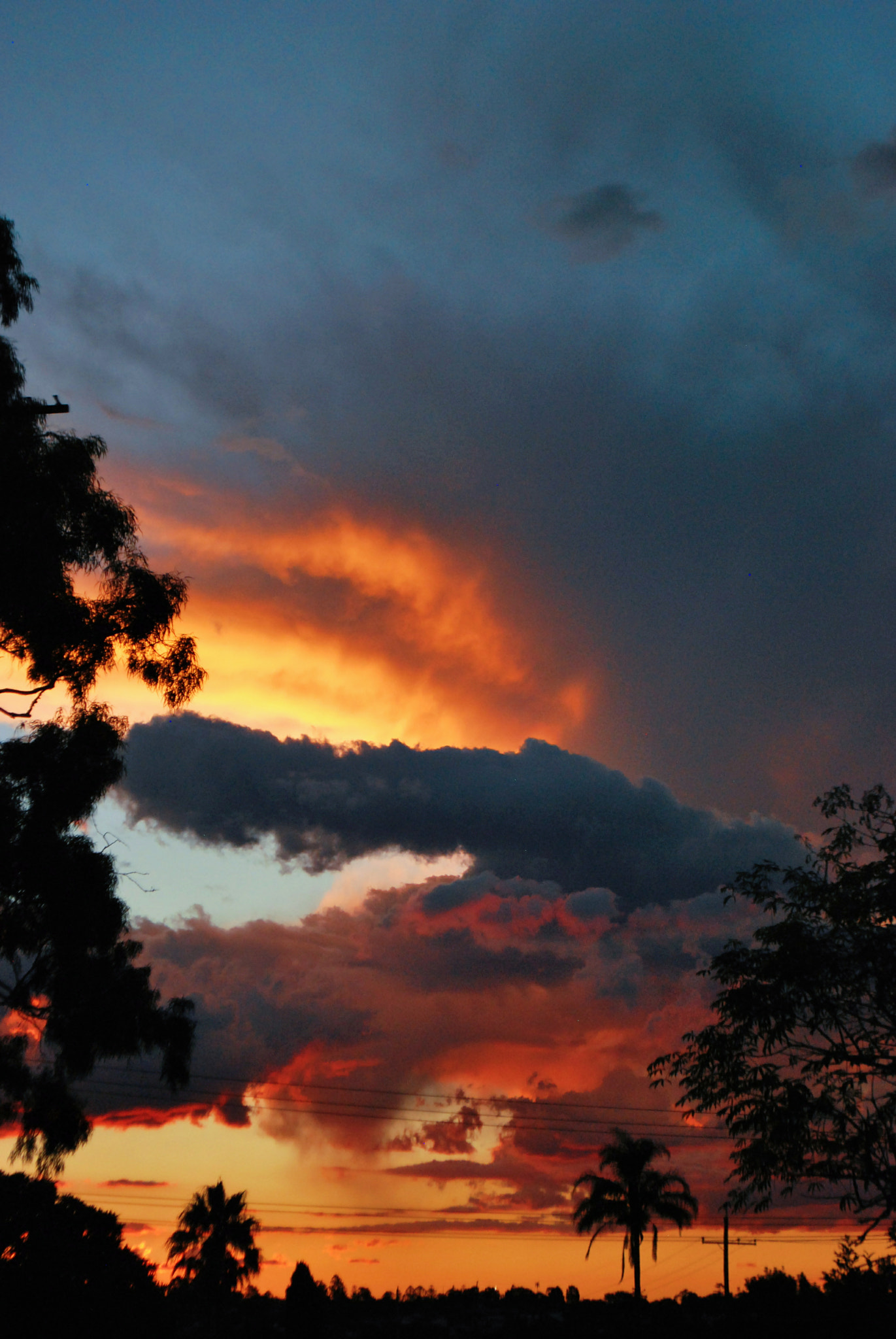 Nikon D60 sample photo. Firey sunset photography