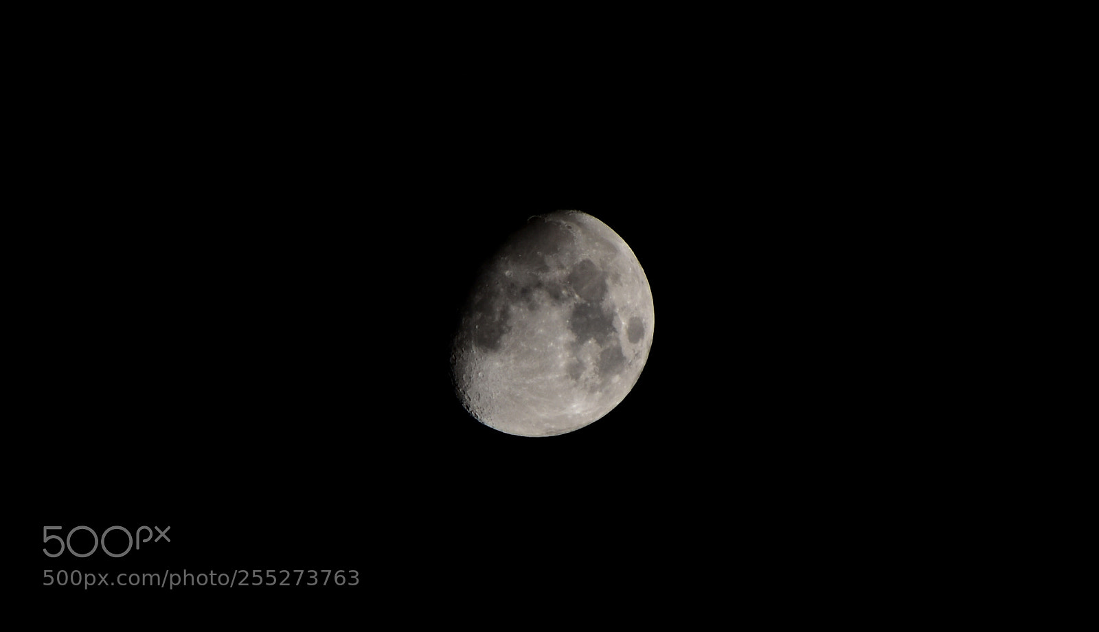 Nikon D5600 sample photo. Moon photography
