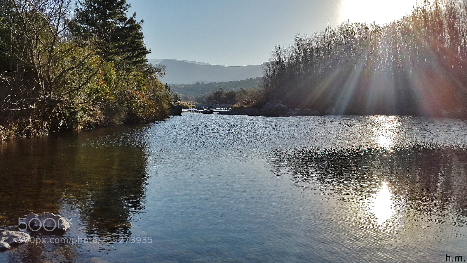 Samsung Galaxy S5 sample photo. Afa o photography