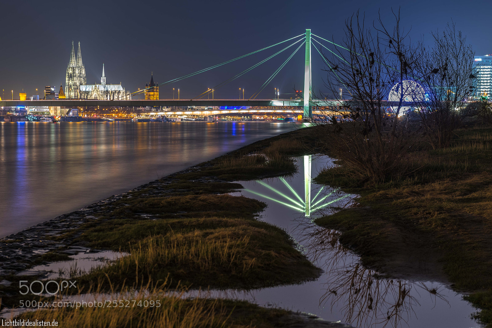Nikon D850 sample photo. The bridge photography