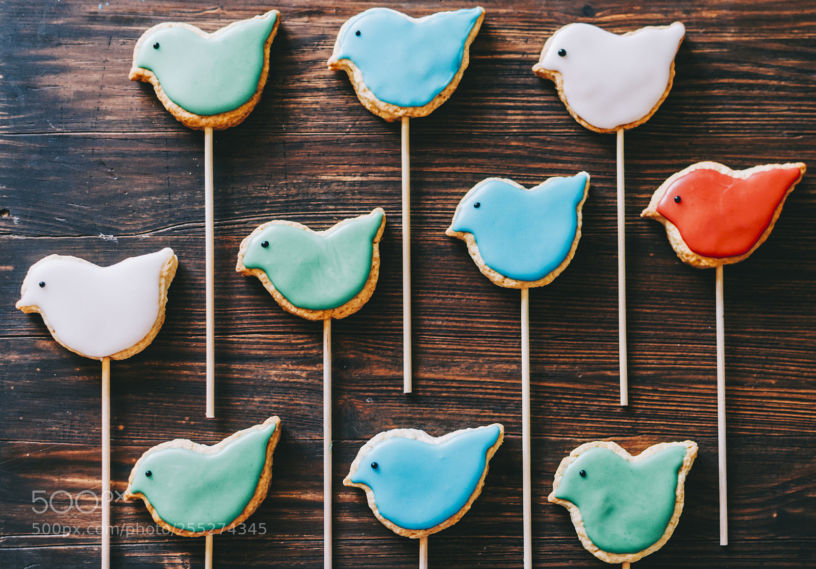 Nikon D7000 sample photo. Cookies in bird form photography
