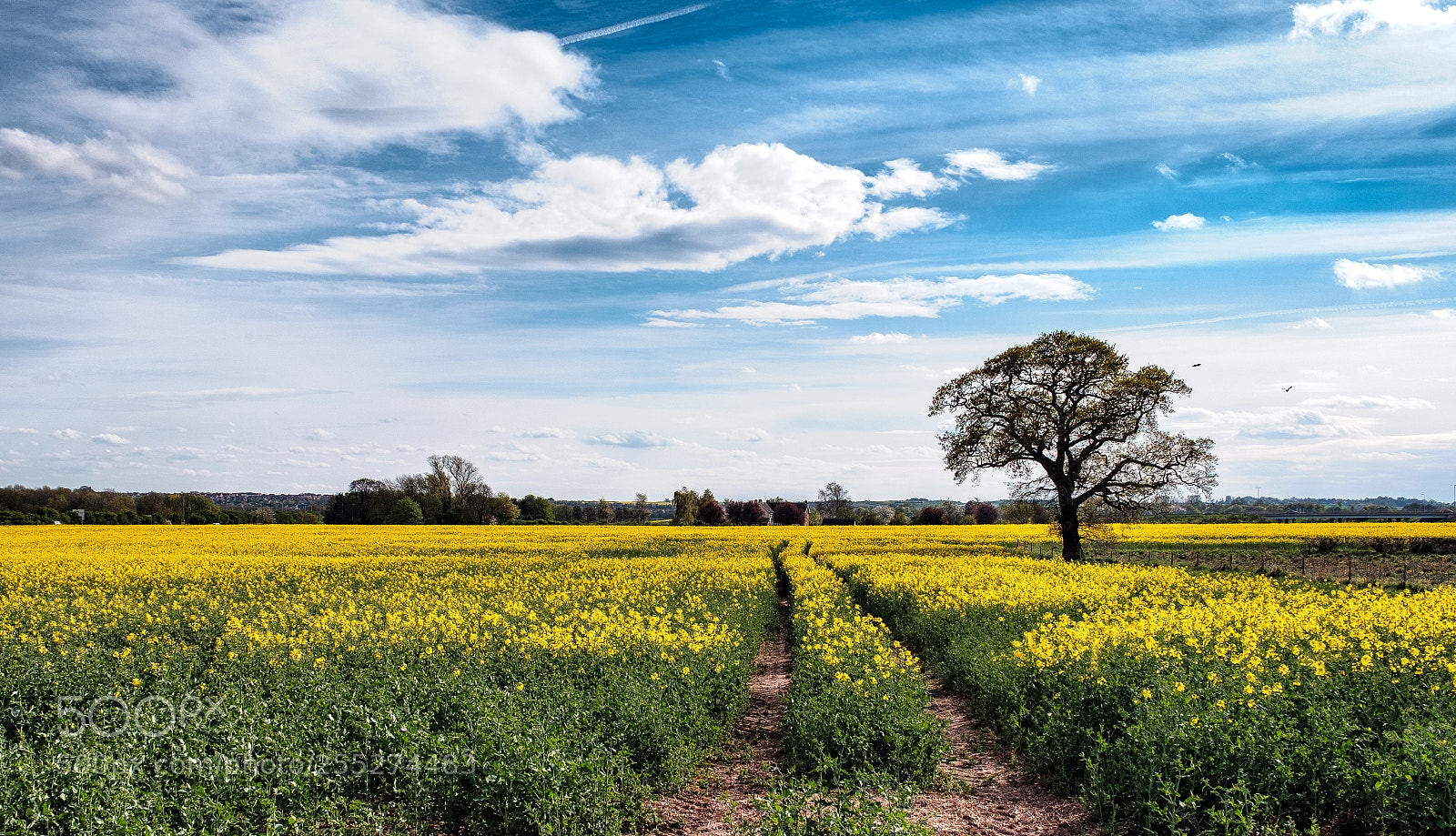 Fujifilm X-T2 sample photo. East bridgeford photography