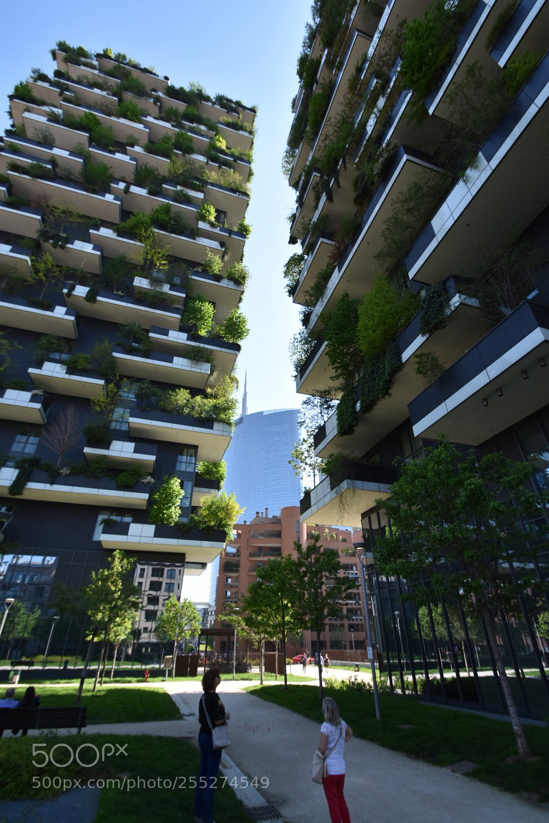 Nikon D7200 sample photo. Bosco verticale photography