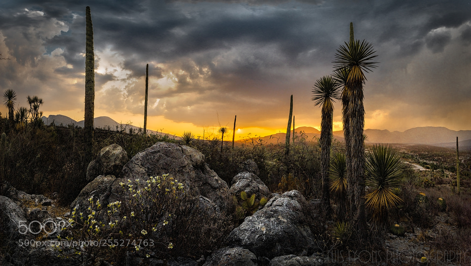 Nikon D5500 sample photo. La mesa sunset photography
