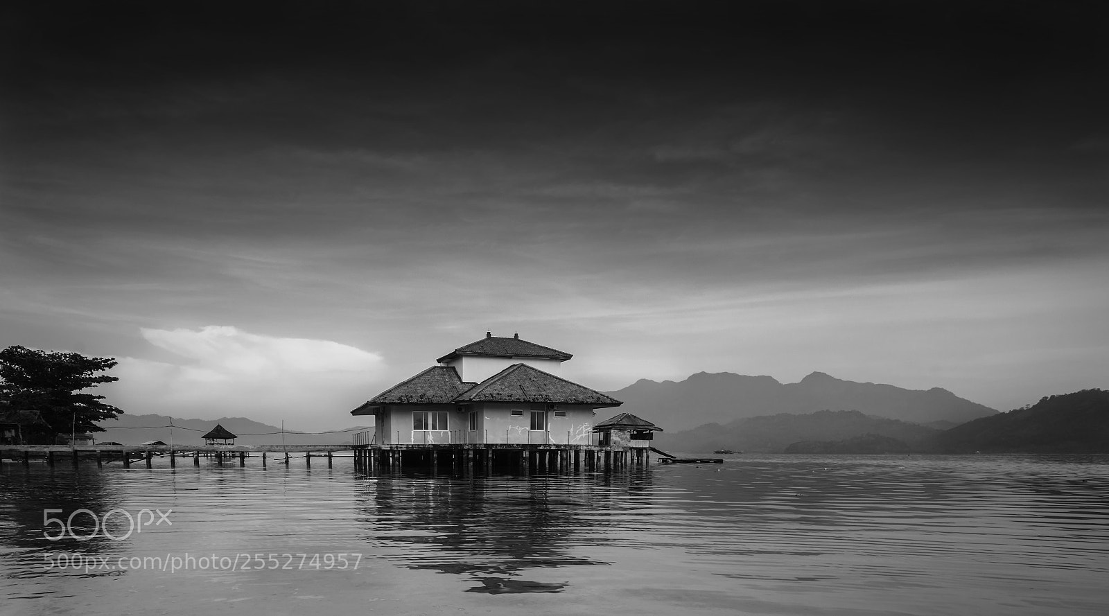 Nikon D7100 sample photo. Tanjungputus2 photography