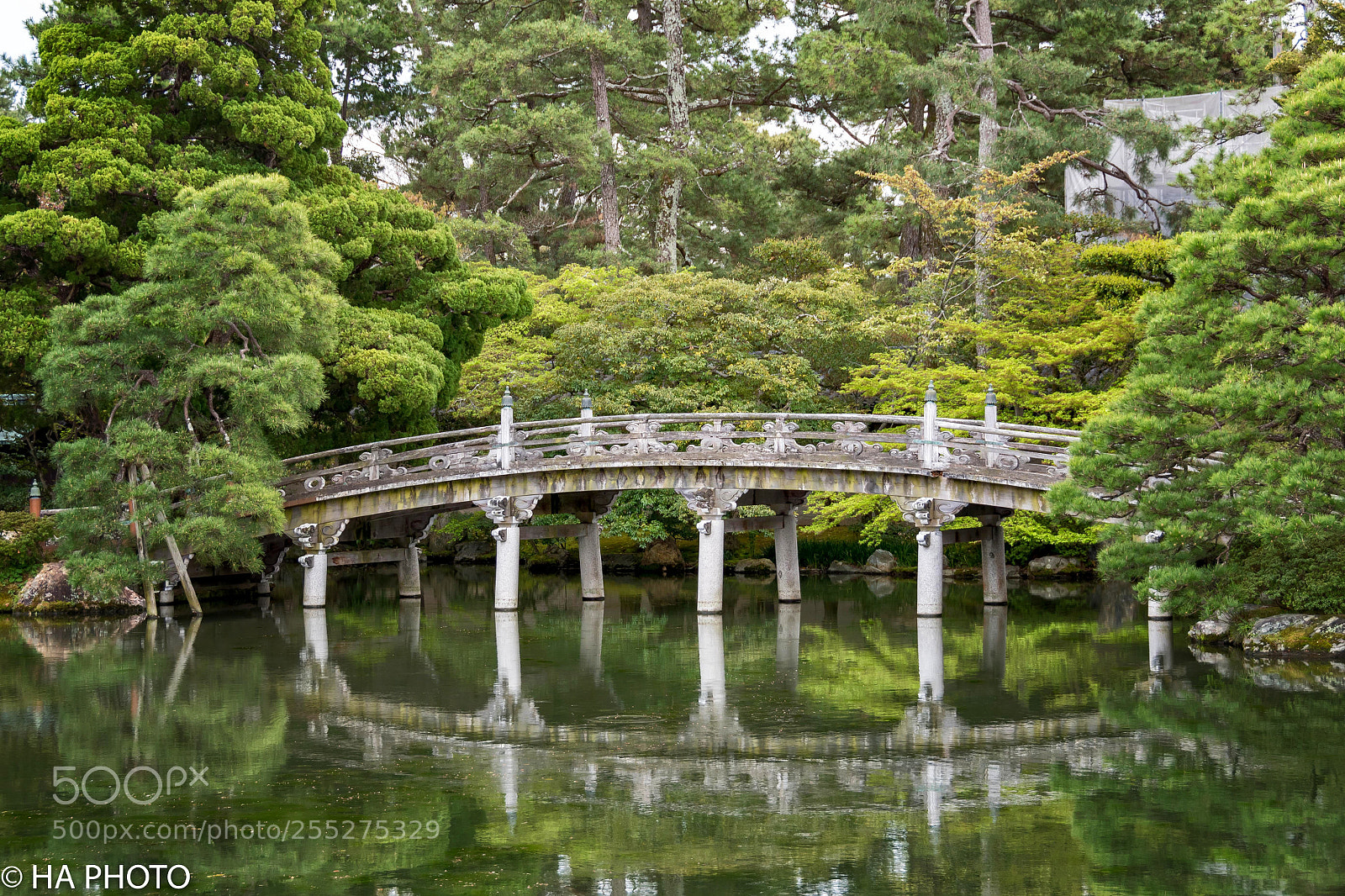 Nikon D7500 sample photo. Kyoto imperial palace gadens photography