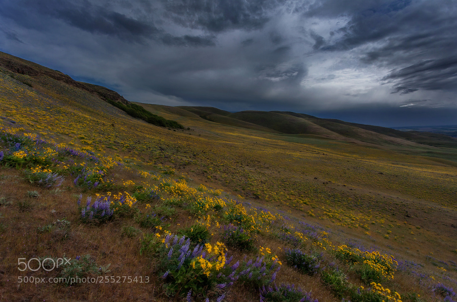 Canon EOS 5D Mark II sample photo. Columbia hills storm photography