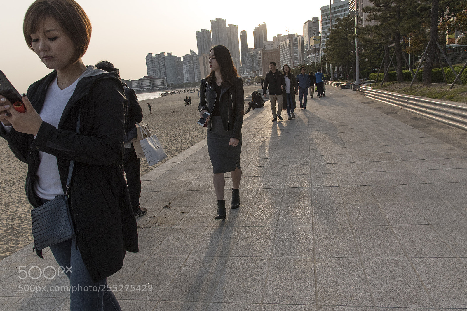 Nikon D750 sample photo. Busan street photography