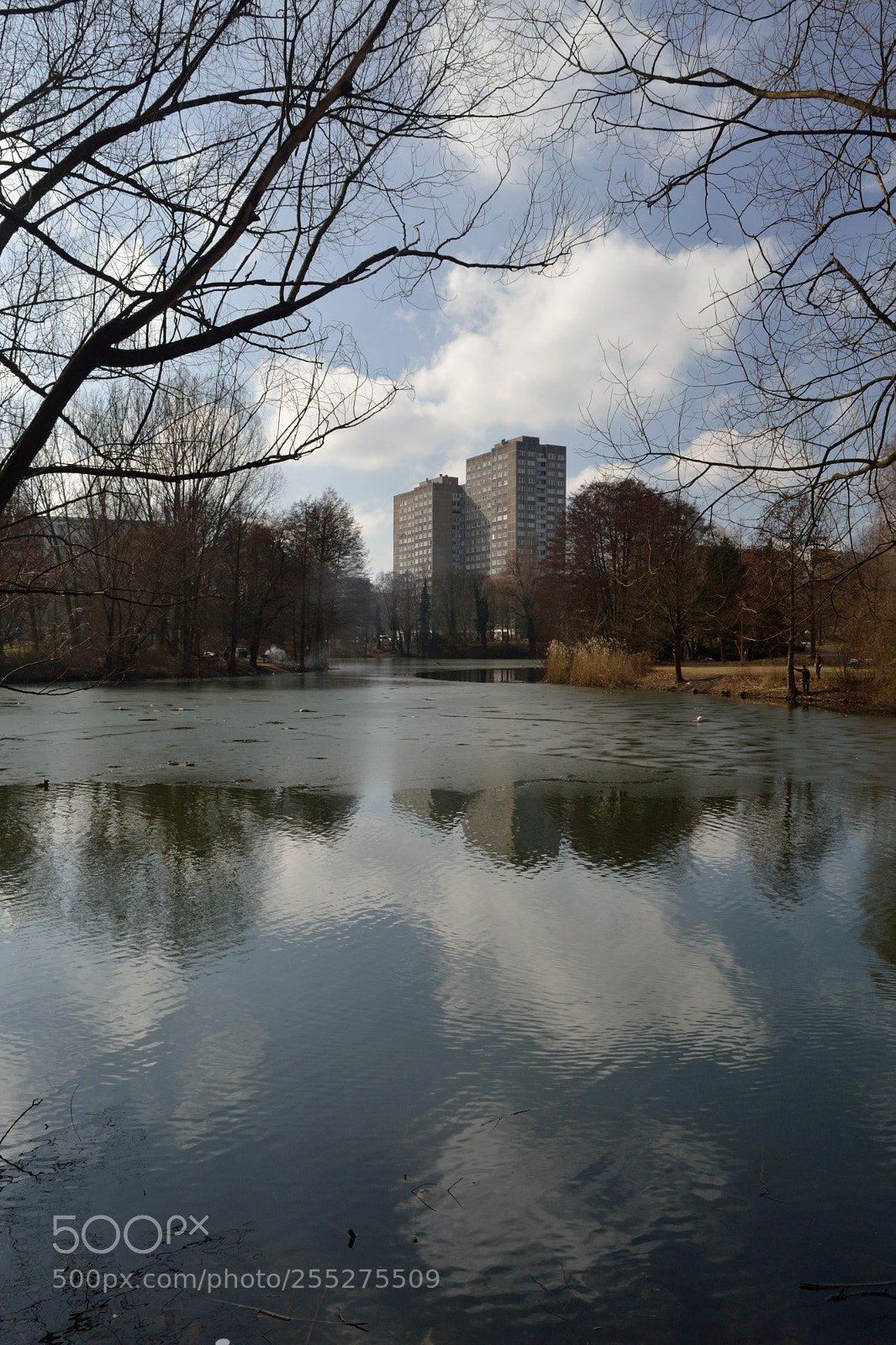 Nikon D3100 sample photo. Early spring photography
