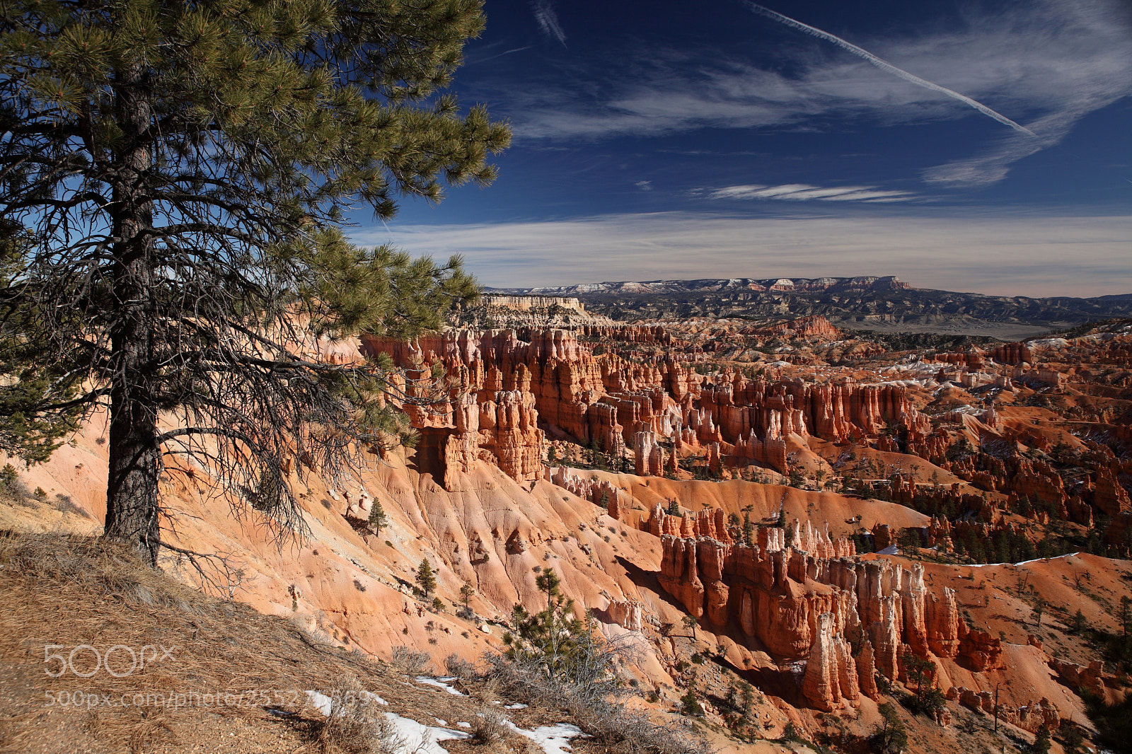Canon EOS 5D Mark II sample photo. Bryce canyon with snow photography