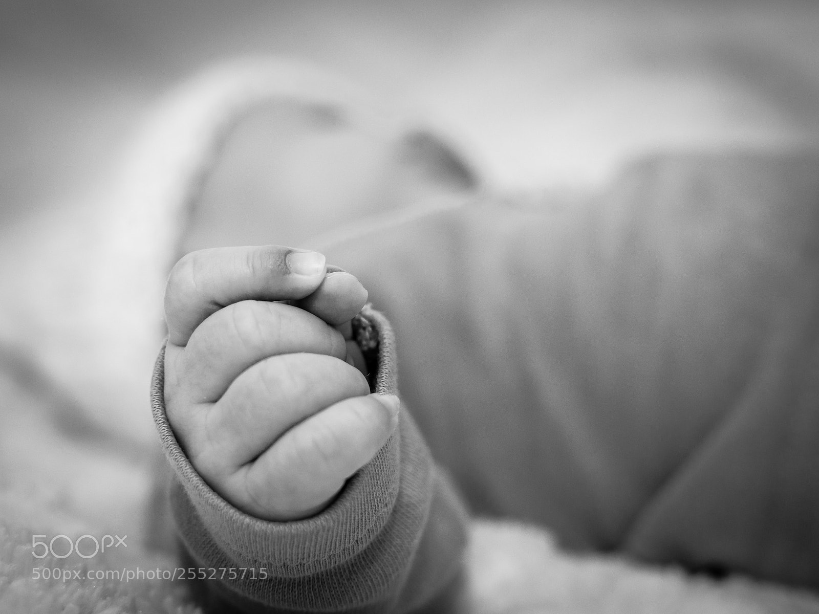 Nikon D3200 sample photo. Newborn photography