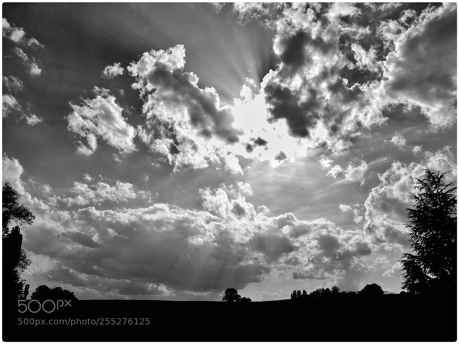 HUAWEI CLT-L29 sample photo. Nuages photography
