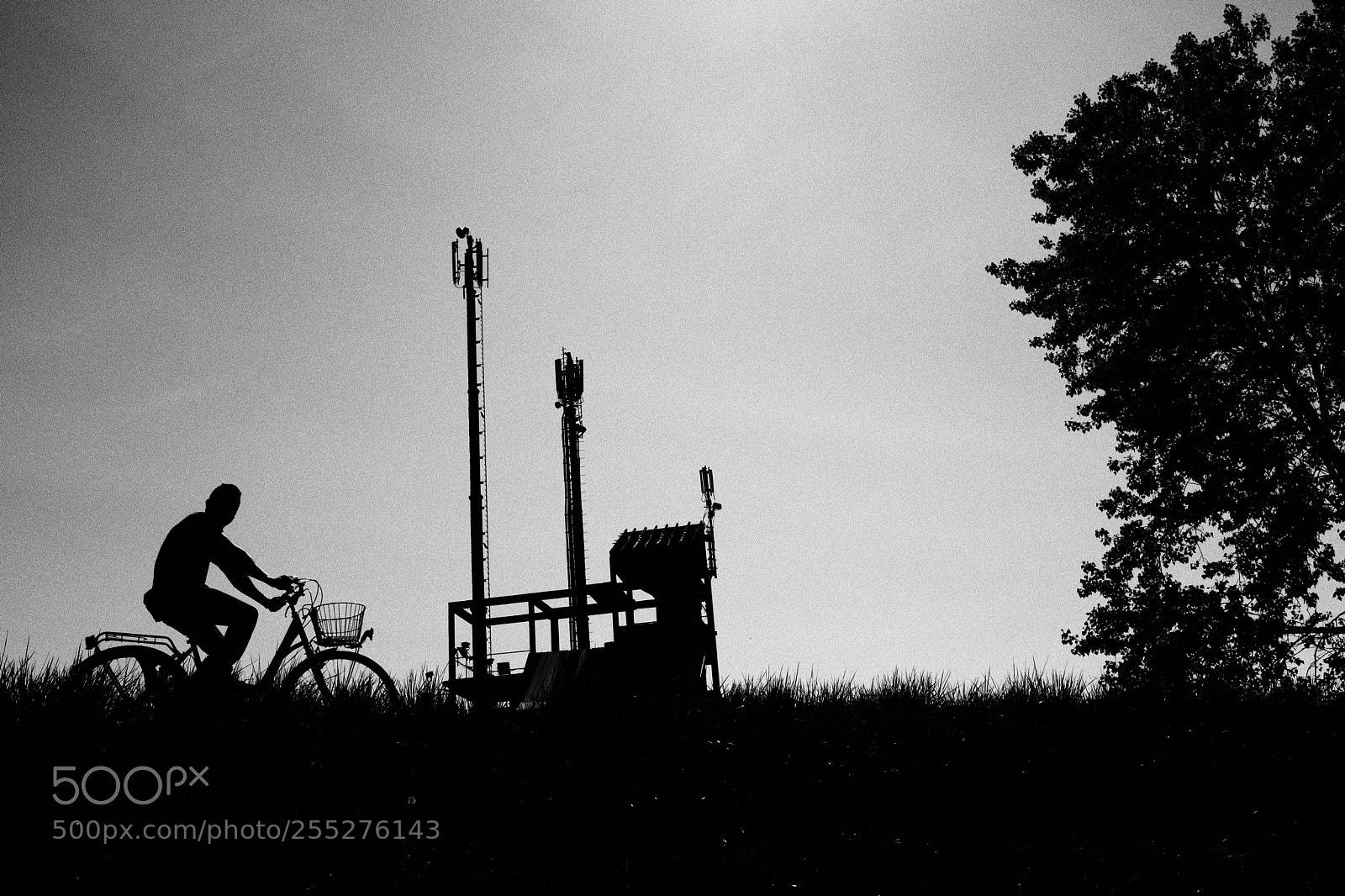 Fujifilm X100F sample photo. Untitled photography