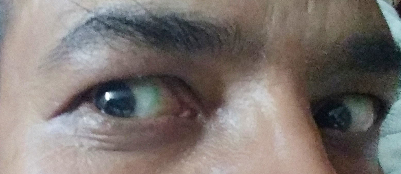 Xiaomi MI MAX 2 sample photo. Tight close up ~ eyes photography