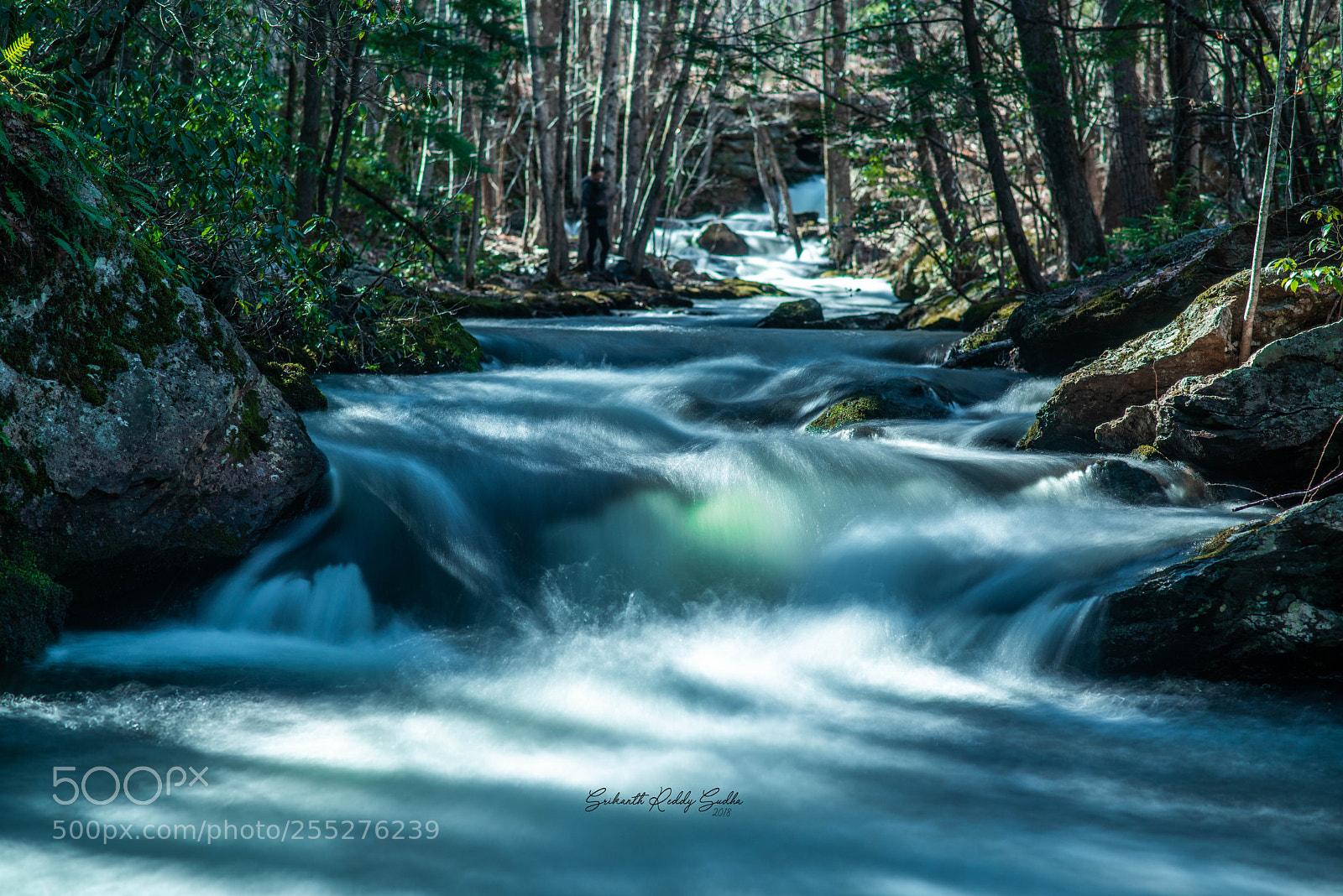 Nikon D810 sample photo. Lee filters photography