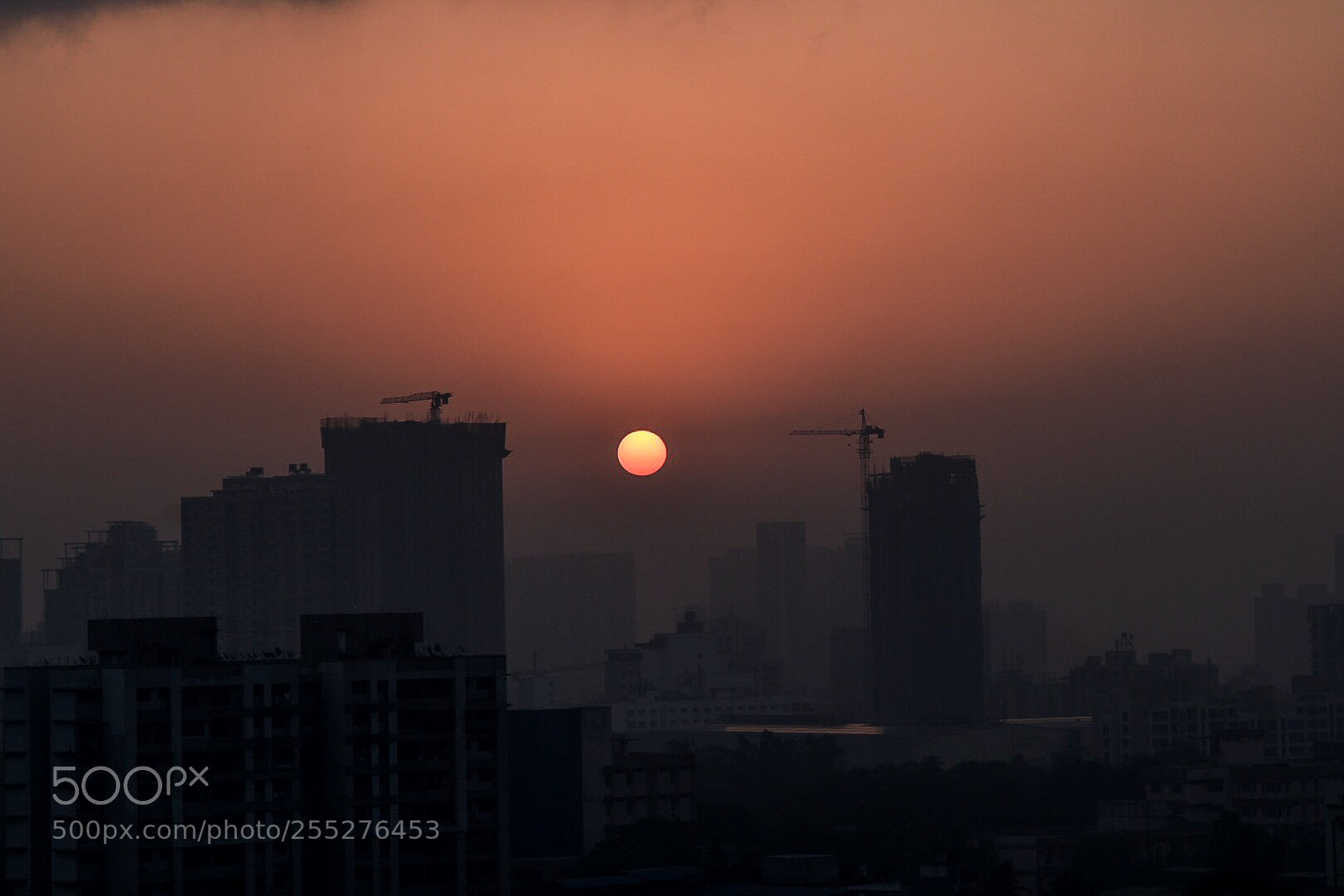 Nikon D5500 sample photo. Rise photography